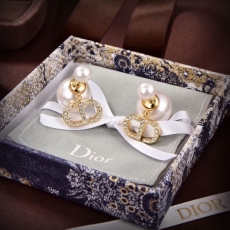 Christian Dior Earrings